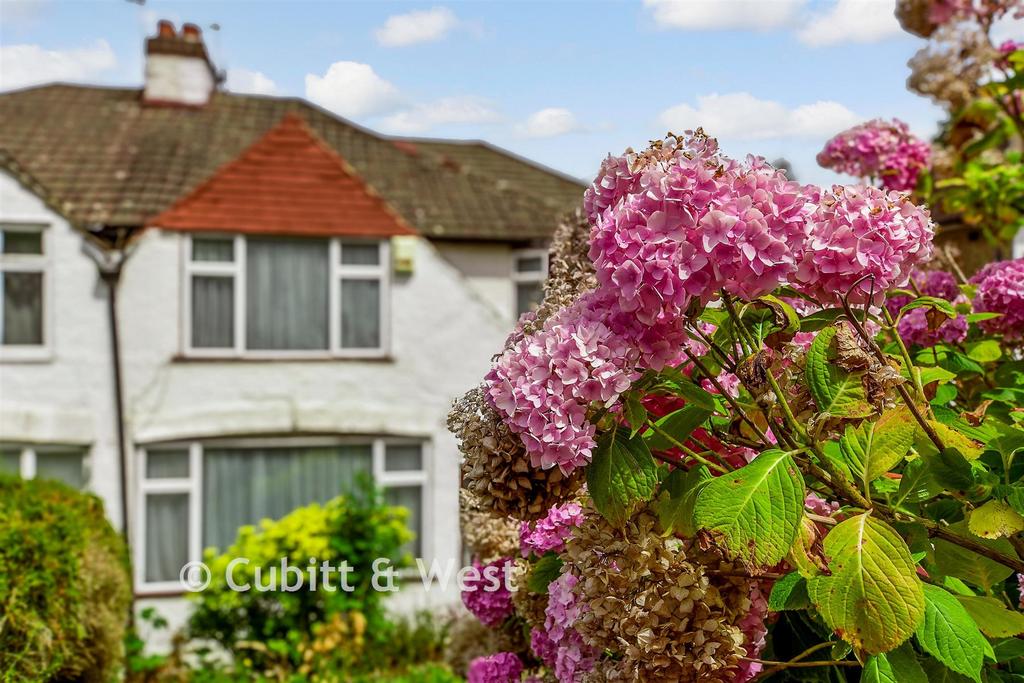 External Lifestyle Photograph