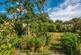 Walton Lane, Weybridge, KT13 photo 2