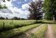Fyfield photo 5