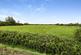 Bedwell Park, Witchford photo 2