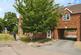 Lime Walk, Old Leake, Boston photo 2
