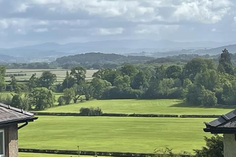 Woodland for sale, Lyndene Wood, Grange-over-Sands, Cumbria LA11