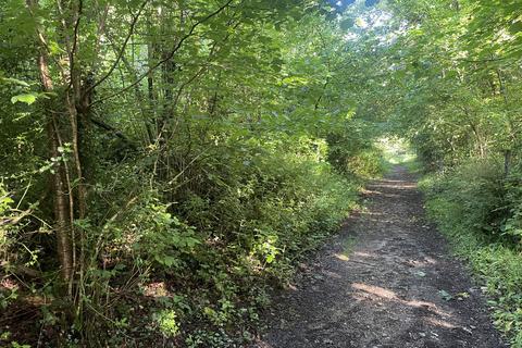 Woodland for sale, Lyndene Wood, Grange-over-Sands, Cumbria LA11
