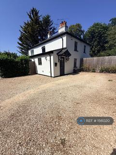 2 bedroom semi-detached house to rent, North St, Windsor, SL4
