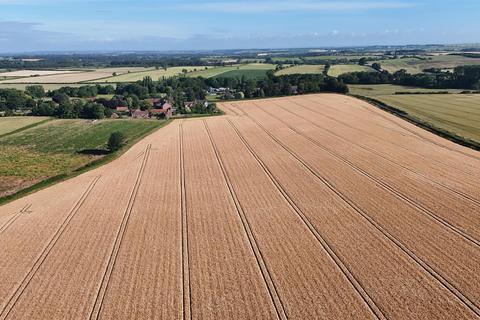 Land for sale, Skirpenbeck, York