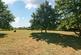 Sherriff Close, Esher, KT10
