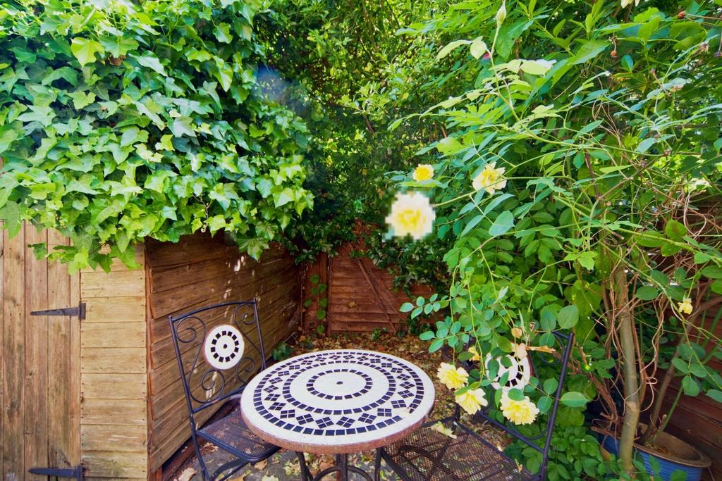 Patio view, garden