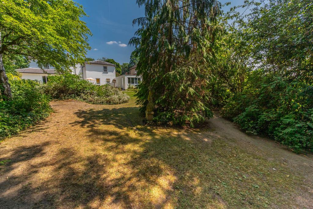 Garden view, garden