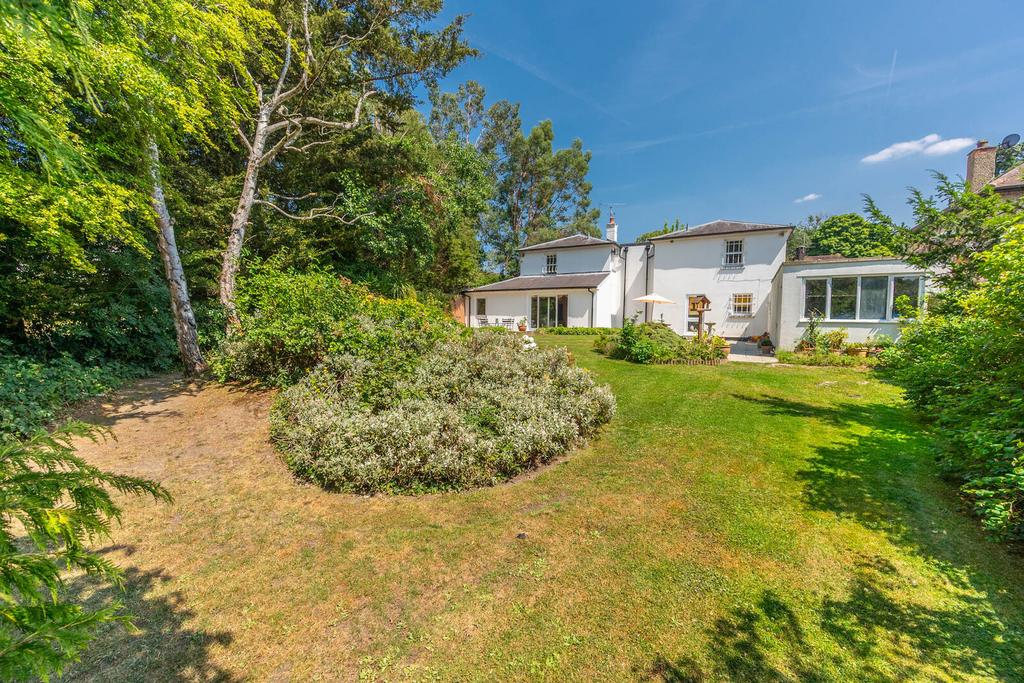 Garden view, garden