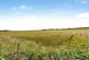Thill Stone Mews, Whitburn, Sunderland photo 4