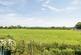 Wolverlands, South Barrow, Yeovil, Somerset, BA22 photo 2