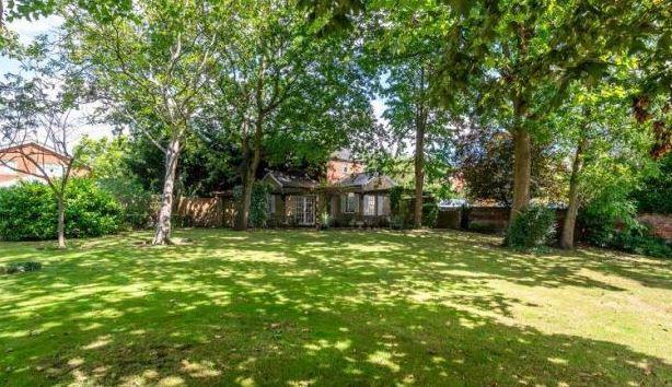Garden view, garden