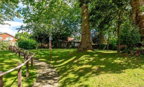 Garden view, garden