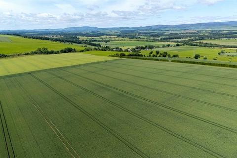 Farm for sale, Lot 1 - Balnacake Farm, Brechin, Angus, DD9