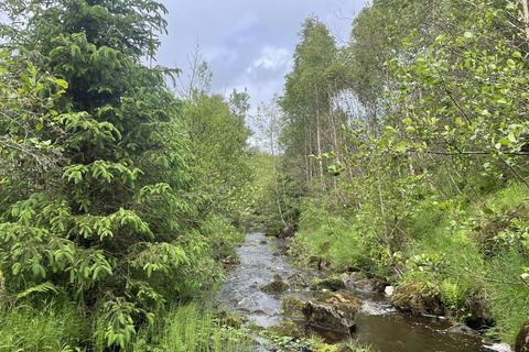 Woodland for sale, Two Bridges Wood, Otterburn, Northumberland NE19