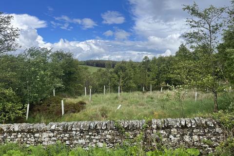 Woodland for sale, Two Bridges Wood, Otterburn, Northumberland NE19