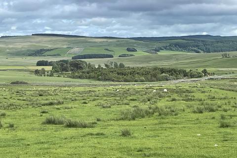Woodland for sale, Two Bridges Wood, Otterburn, Northumberland NE19