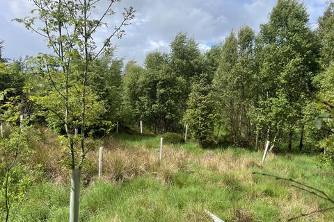 Woodland for sale, Two Bridges Wood, Otterburn, Northumberland NE19