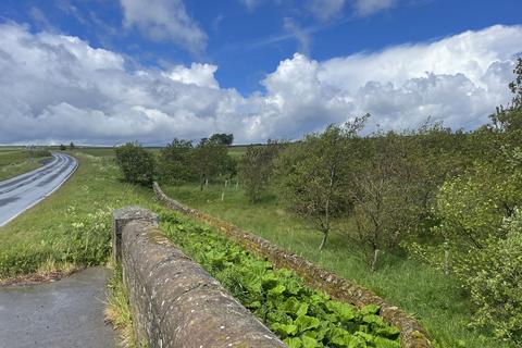 Woodland for sale, Two Bridges Wood, Otterburn, Northumberland NE19