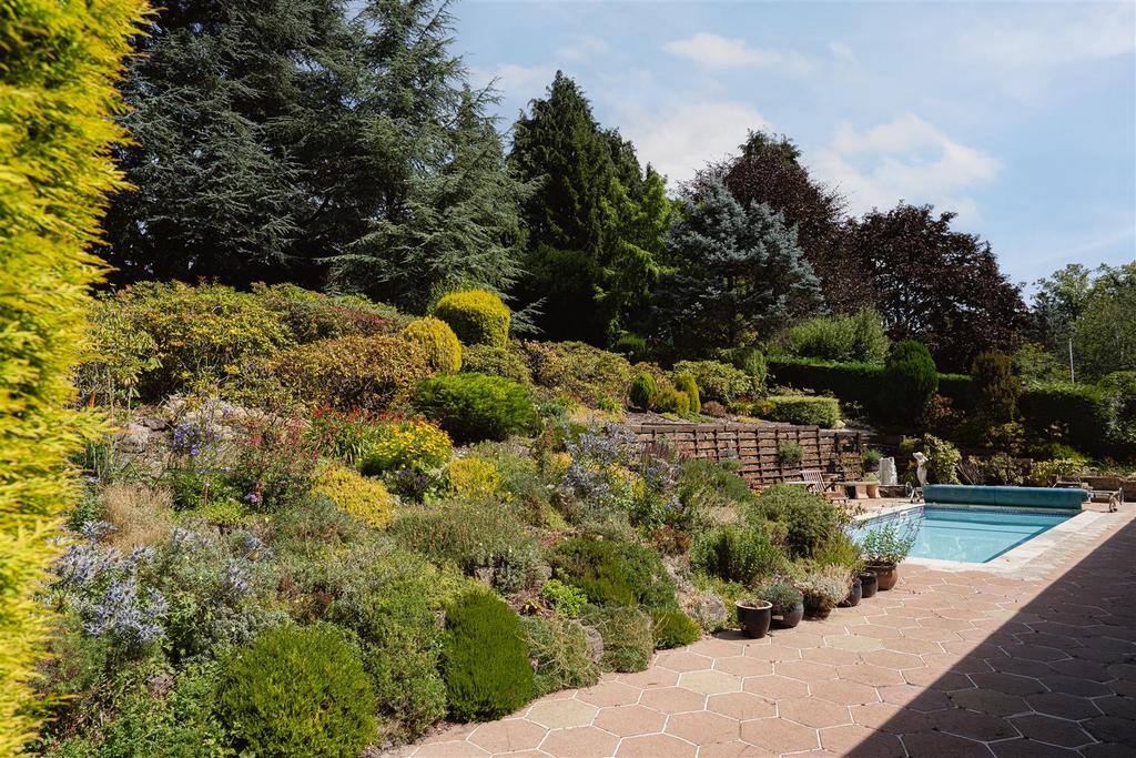 Swimming pool area, swimming pool