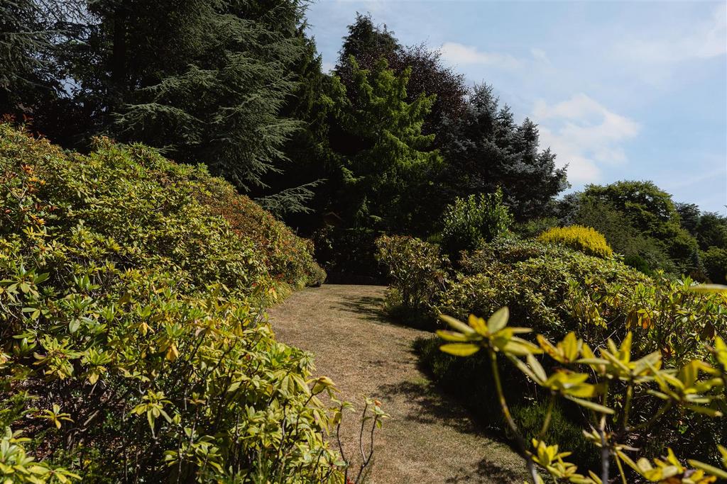 Garden view, garden