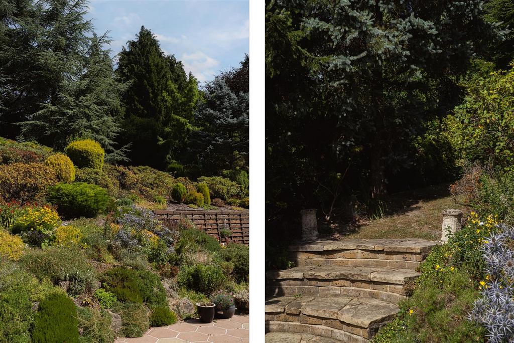 Garden view, garden