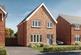 Hare at Alderbrook Manor, Grappenhall Heys Curzon Drive WA4