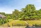 Hett Close, Ardingly, Haywards Heath photo 4
