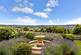Sion Hill, Bath, Somerset, BA1 photo 4
