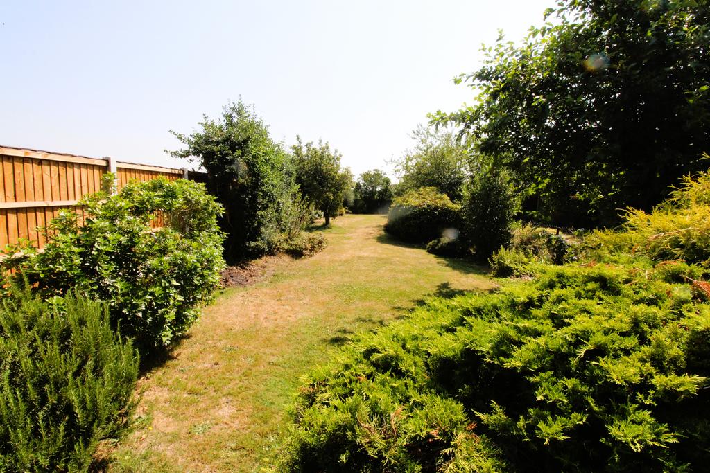 Garden view, garden