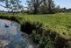 Ickleton Road, Saffron Walden CB10 photo 2
