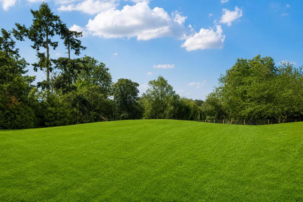 Garden view, garden