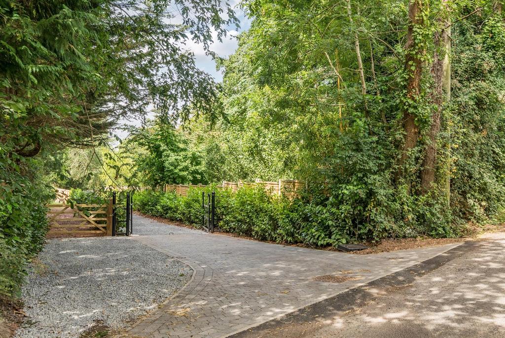 Driveway view, driveway