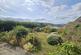 Wentnor SY9 photo 4
