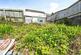 New Road, Neath SA10 photo 2