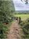 Old Holbrook, Horsham photo 3