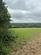 Old Holbrook, Horsham photo 4