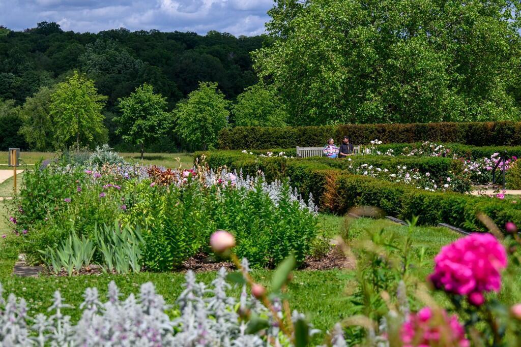 Garden view, garden