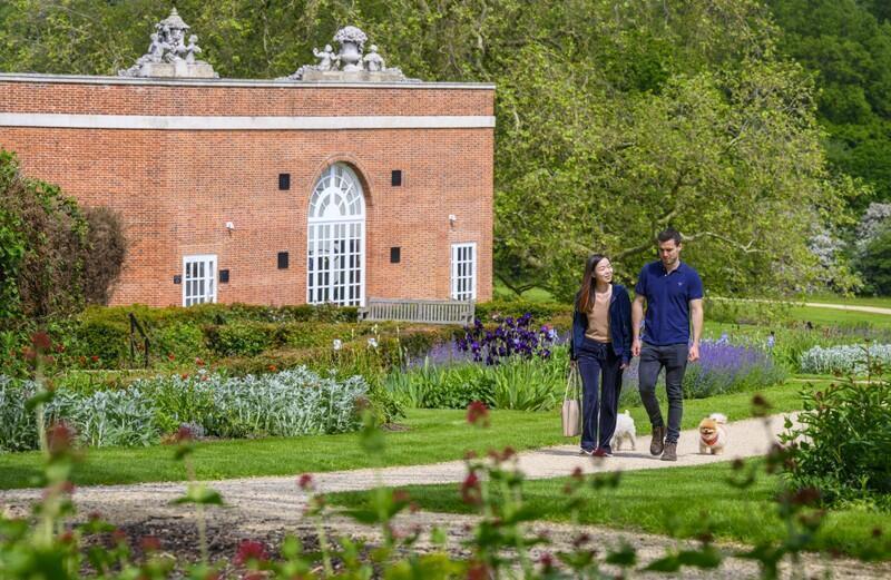 Garden view, garden