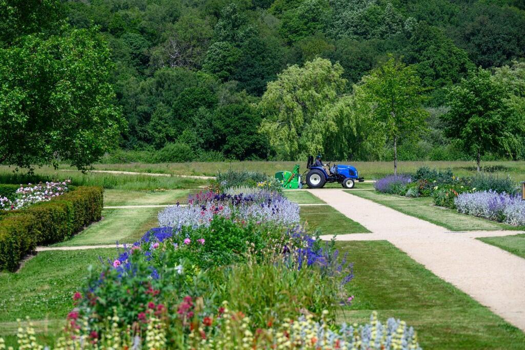 Garden view, garden