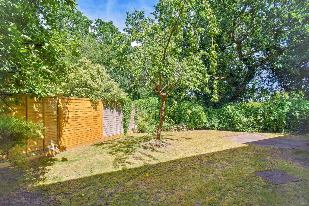 Garden view, garden