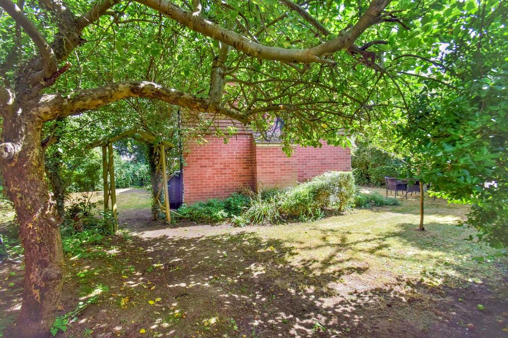 Garden view, garden