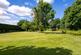 Edington Fox Covert, Chirnside, TD11 photo 5