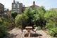 Cricketfield Road, London E5 photo 2