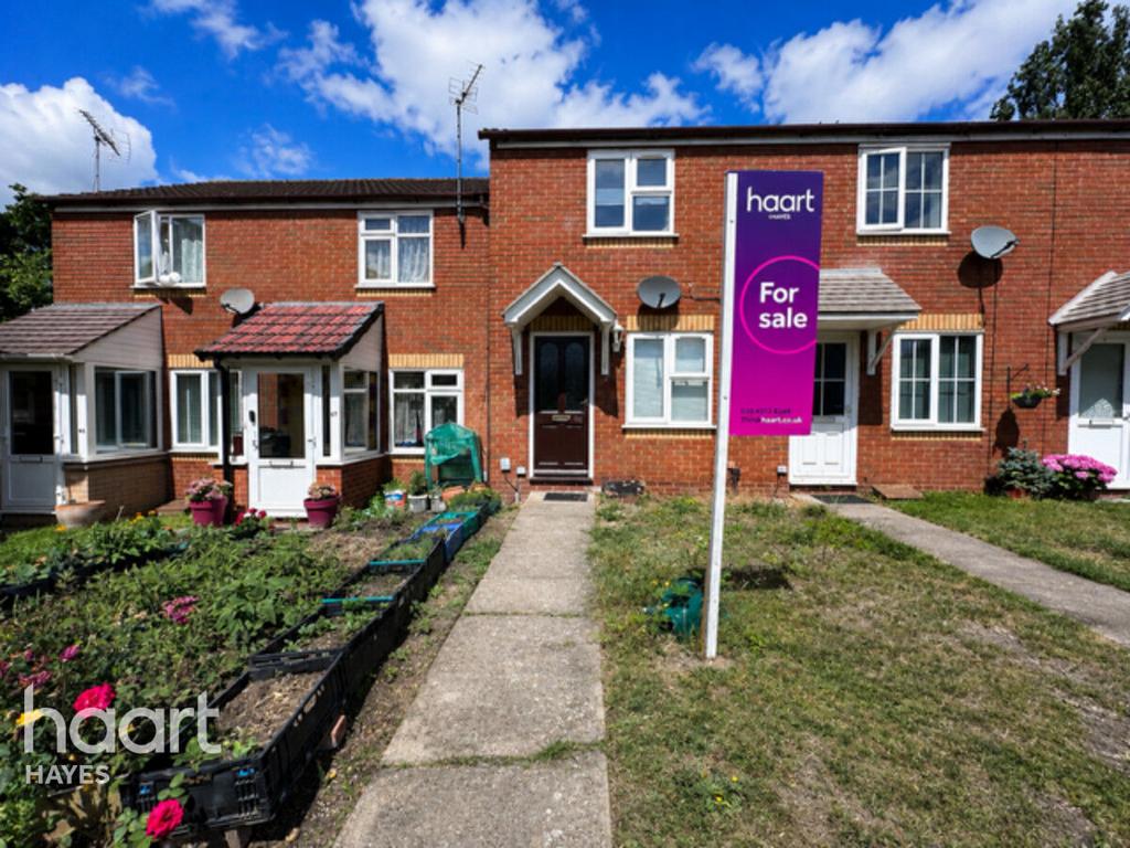 Semi-detached house exterior, garden
