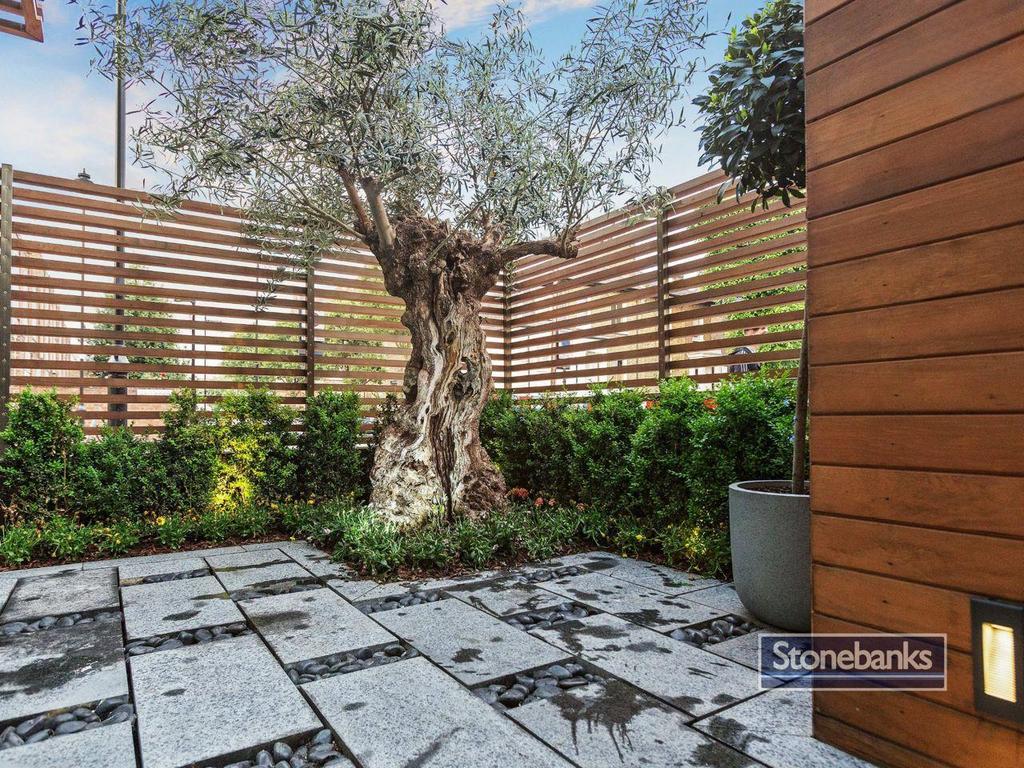 Garden view, garden
