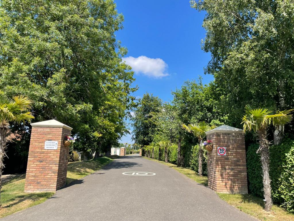 Driveway view, driveway
