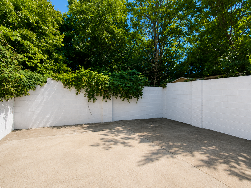 Driveway view