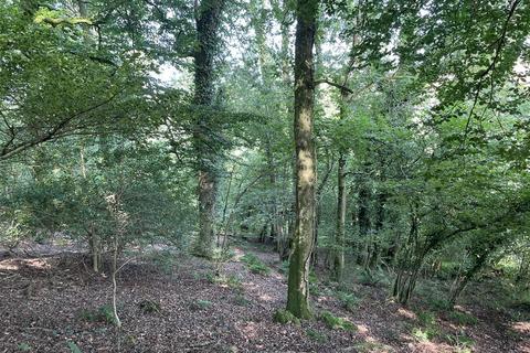 Land for sale, Loxbeare, Tiverton
