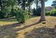 Framlingham, Suffolk photo 5